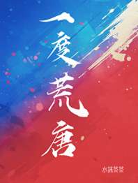 一度荒唐 封面