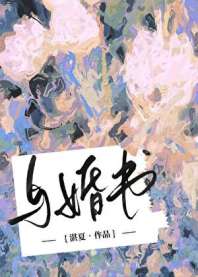 与婚书 封面
