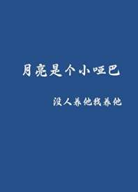 月亮是个小哑巴 封面