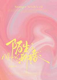 陌生新婚 封面