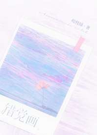 错觉画 封面
